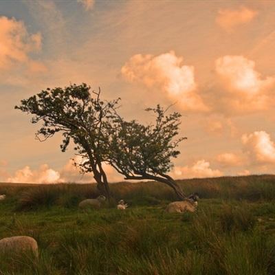 云平台app手机app下载